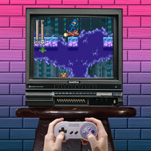 Load image into Gallery viewer, Mega Man &amp; Bass
