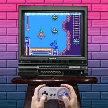 Load image into Gallery viewer, Mega Man &amp; Bass
