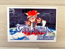Load image into Gallery viewer, Terranigma
