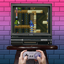 Load image into Gallery viewer, Mega Man &amp; Bass
