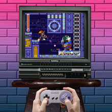 Load image into Gallery viewer, Mega Man &amp; Bass
